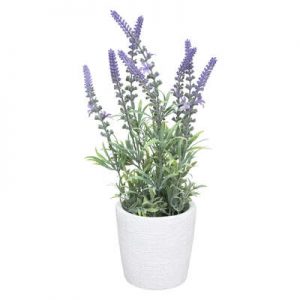 Vaso in cemento bianco con lavanda touch