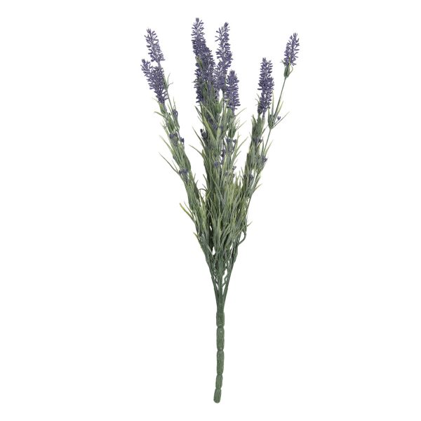 Mazzetto di lavanda