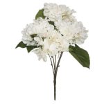 Bouquet di ortensie bianco