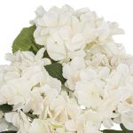 Bouquet di ortensie bianco - immagine 2