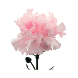 Garofano rosa h.63cm