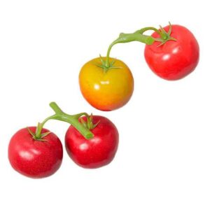 Grappolo di pomodori