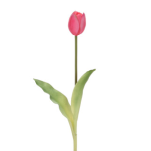 Tulipano fucsia natural touch