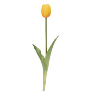 Tulipano giallo natural touch