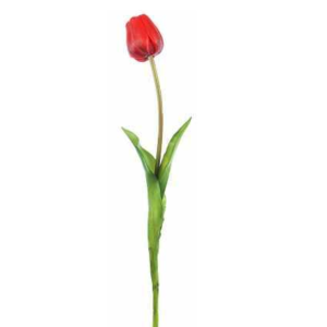 Tulipano rosso natural touch