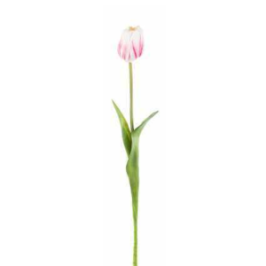 Tulipano rosa sfumato natural touch