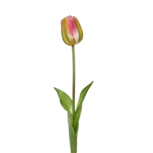 Tulipano lilla sfumato verde natural touch