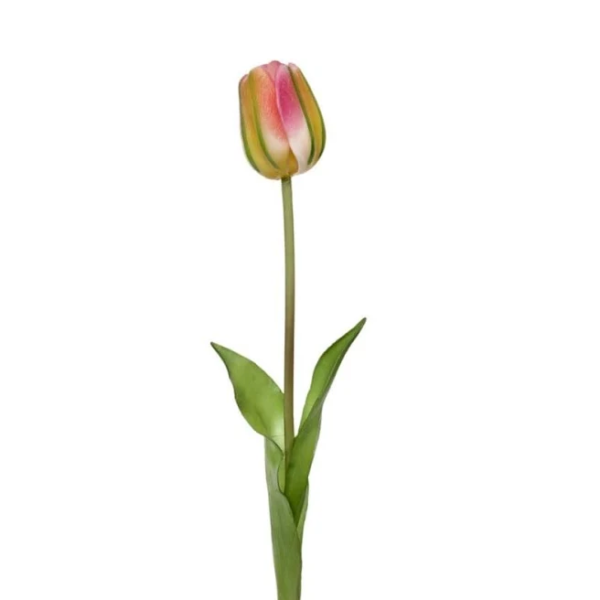 Tulipano lilla sfumato verde natural touch