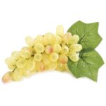 Grappolo d'uva bianca