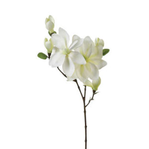 Ramo di magnolia bianca h.83cm