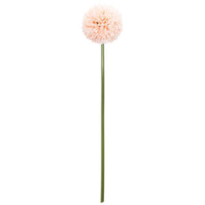Fiore Aglium rosa