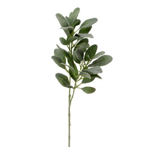Ramo di salvia 75cm