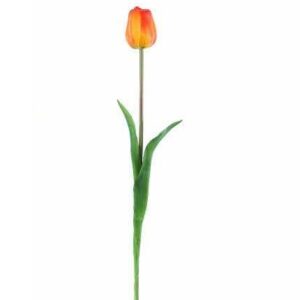 Tulipano arancio natural touch