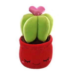 Pianta di cactus peluche con cuoricino