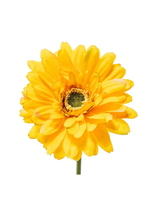 Gerbera h.49cm - immagine 7