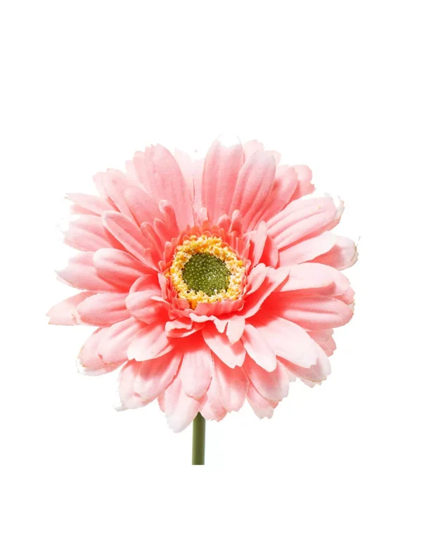 Gerbera h.49cm - immagine 9