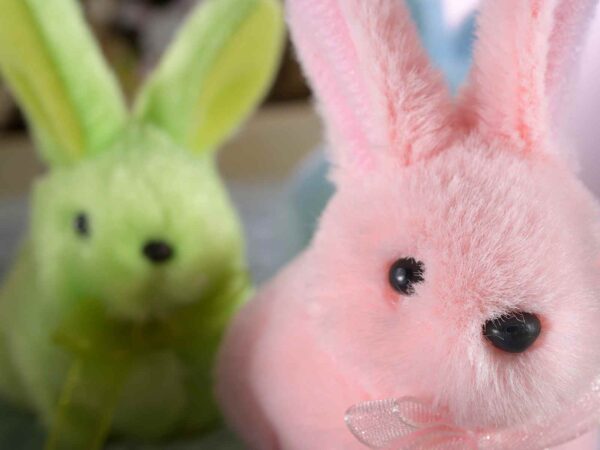 Coniglietto decorativo peluche - immagine 2