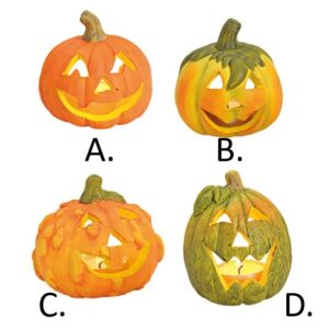 Zucca Halloween in terracotta