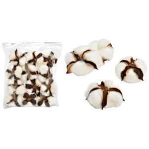 Fiori di cotone 12pz