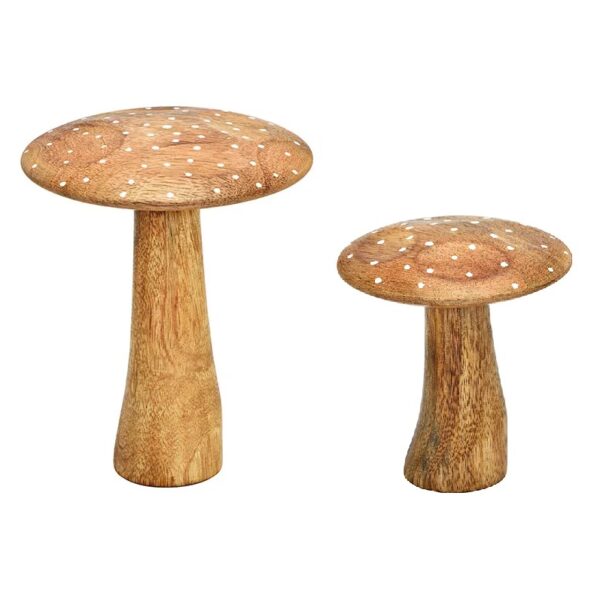 Fungo in legno di mango