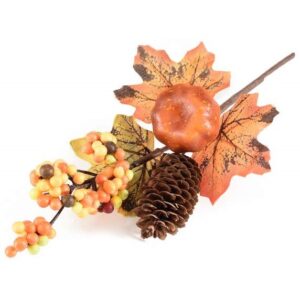 Pick a rametto con zucca, pigna, foglie e bacche