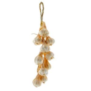 Treccia aglio h 50 cm con 10 agli