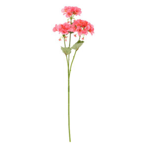 Ramo di pelargonio rosa
