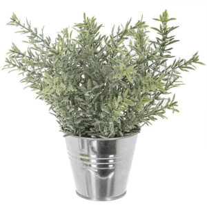Piantina rosmarino con vaso in zinco