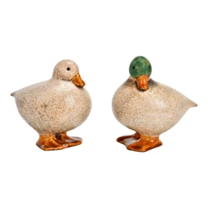 Anatra in terracotta