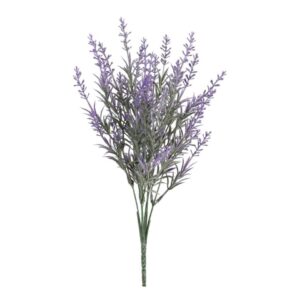 Mazzetto di lavanda