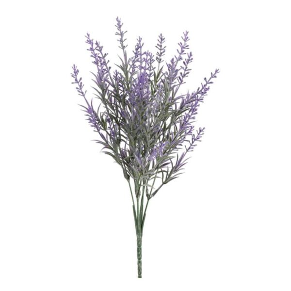Mazzetto di lavanda