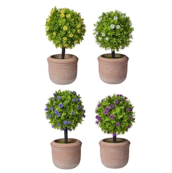 Vasetto con albero di bosso e fiorellini