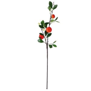 Ramo con agrume mandarino 69cm
