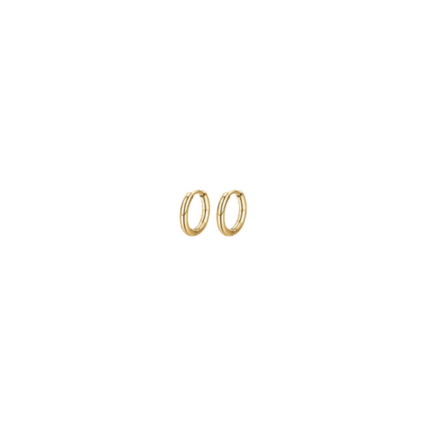 Orecchini donna in acciaio Ip Gold cerchi 12mm - immagine 3