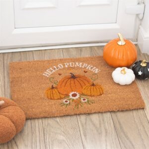 Zerbino in cocco Hello Pumpkin