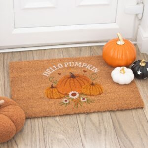 Zerbino con zucche Hello Pumpkin